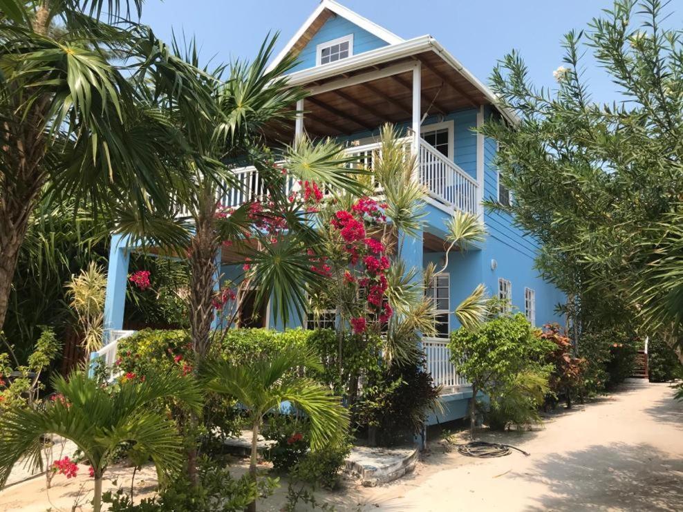 Sandy'S Secret Caye Caulker Kültér fotó