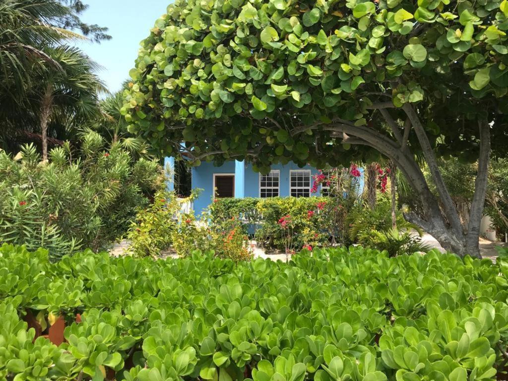 Sandy'S Secret Caye Caulker Kültér fotó