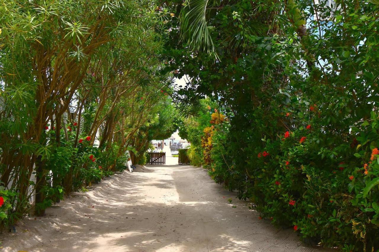 Sandy'S Secret Caye Caulker Kültér fotó